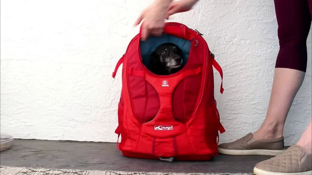 Are dog carrier backpacks safe