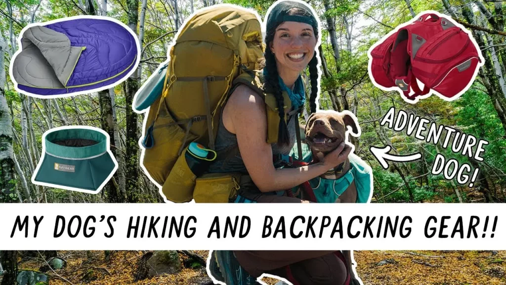 Can i take my dog backpacking