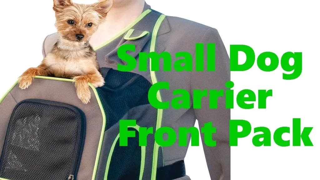 are legs out dog carriers safe?
