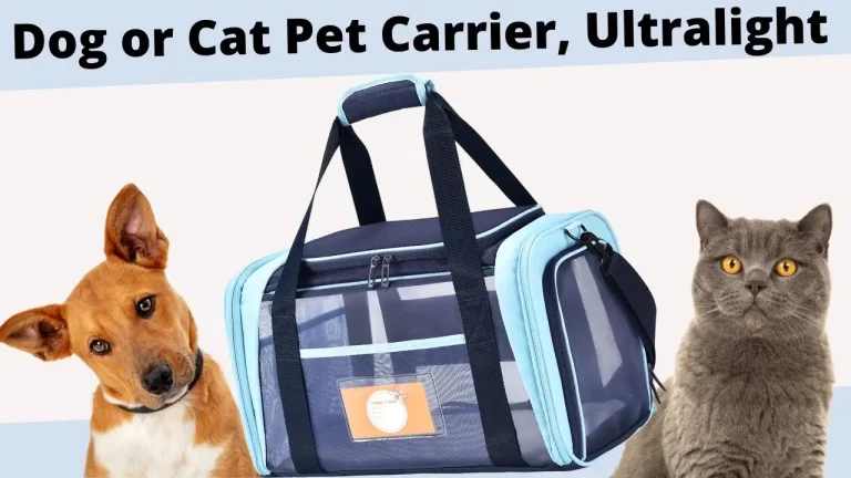 Do airports sell pet carriers