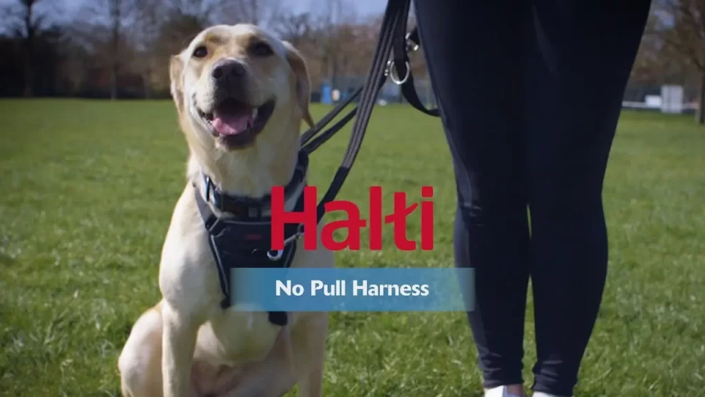 Halti No Pull dog Harness Instructions