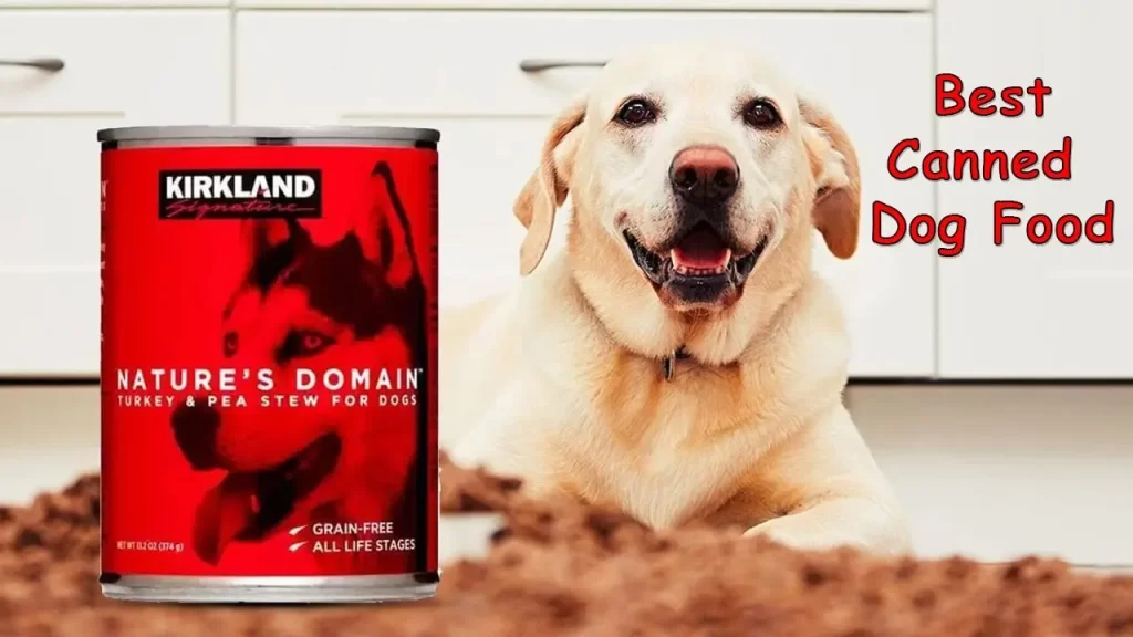 Is Costco Kirkland Canned Dog Food Discontinued