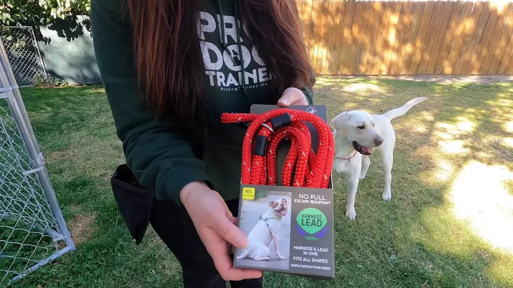 harness lead instructions