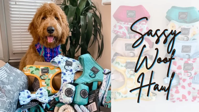 Sassy Woof Dog Harness Instructions