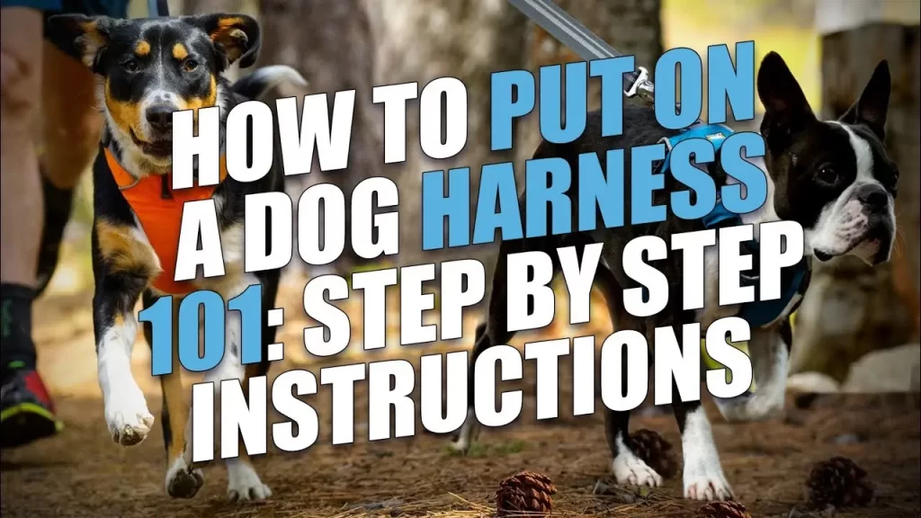 Vl Dog Harness Instructions