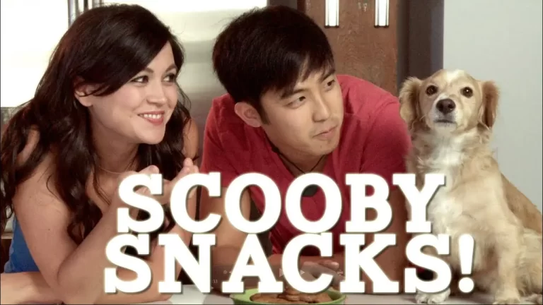 Are Scooby Snacks Dog Treats Discontinued