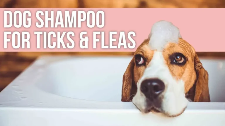 Hartz Dog Shampoo Recall, Reviews, Pros and Cons