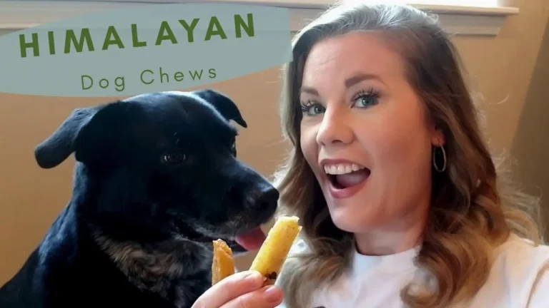 Himalayan Dog Chew Recall 2020, Review, Pros and Cons