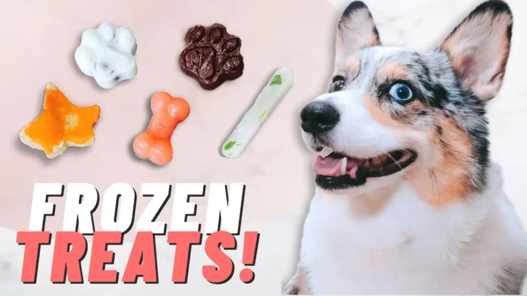 Hollywood Stars Dog Treats Recall, Review, Pros and Cons