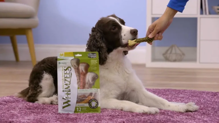 Whimzees Dog Treats Recall, Reviews, Pros and Cons