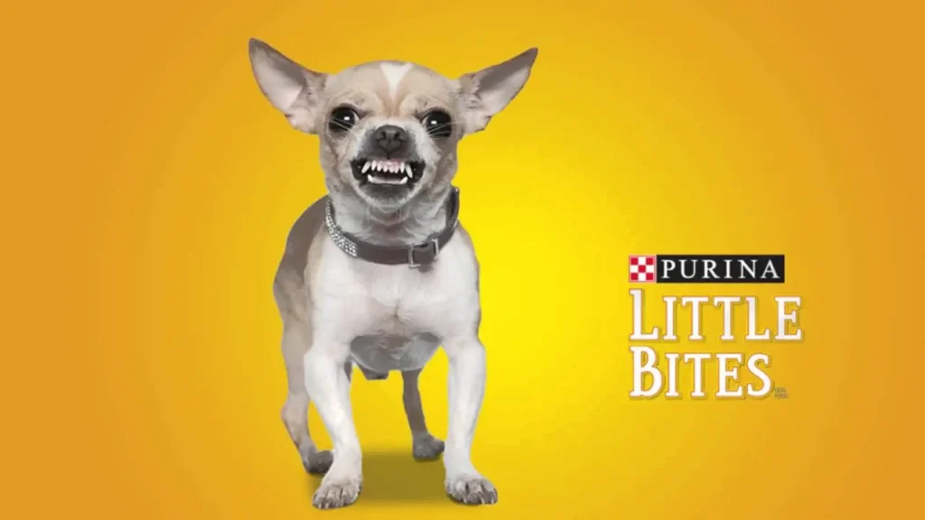 purina little bites discontinued